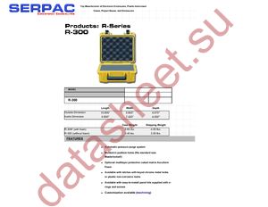 R-300 BLACK datasheet  